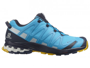 SALOMON XA Pro 3D V8 GTX Gore-Tex  Herren Größe 8 = 42