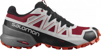 SALOMON Speedcross 5 GTX Herren Men Gore-Tex