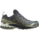 SALOMON XA Pro 3D V9 GTX Gore-Tex  Herren