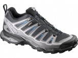SALOMON X-ULTRA 2 GTX Gore-Tex Herren DETROIT/AUTOBAHN/BLUE