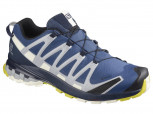 SALOMON XA Pro 3D V8 GTX Gore-Tex  Herren UK 9,5 = Größe 44