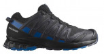 SALOMON XA Pro 3D V8 GTX Gore-Tex  Herren