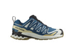 SALOMON XA Pro 3D V9 GTX Gore-Tex  Herren
