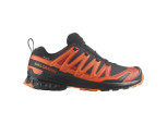 SALOMON XA Pro 3D V9 GTX Gore-Tex  Herren