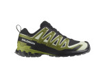 SALOMON XA Pro 3D V9 GTX Gore-Tex  Herren